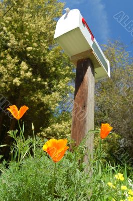 mailbox in the spring