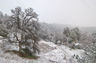 snowy countryside