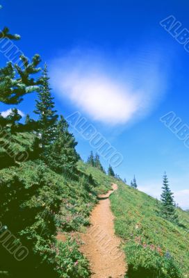 Hiking trail