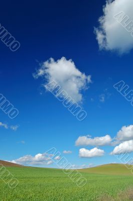 spring field