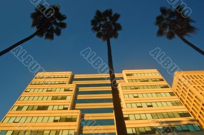 buildings lit by evening light