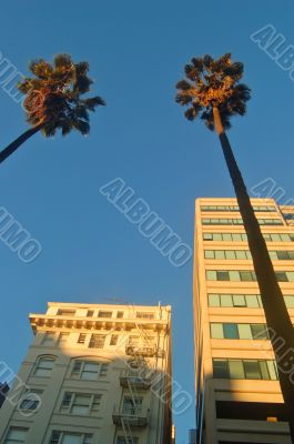 buildings lit by evening light