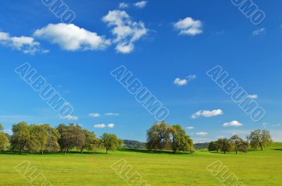 springtime landscape