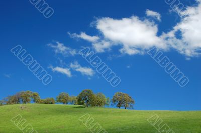 springtime landscape