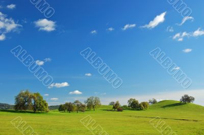 springtime landscape