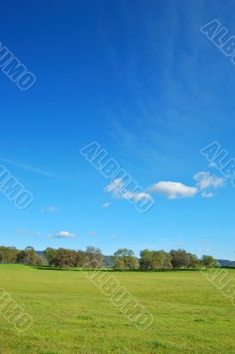 springtime landscape
