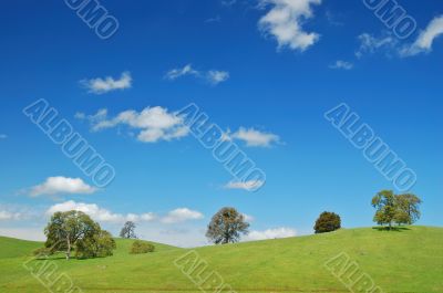 springtime landscape