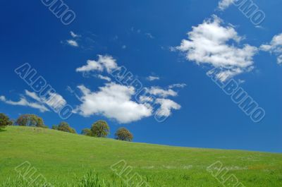 springtime landscape