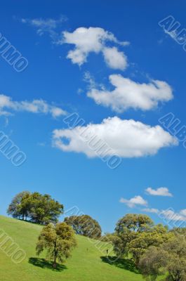 springtime landscape