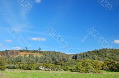 springtime landscape