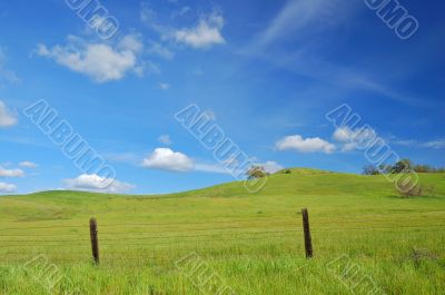 springtime landscape