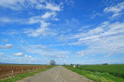 country road