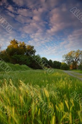 rural countryside