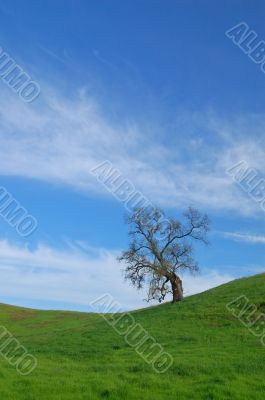 rural countryside