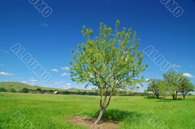 rural countryside