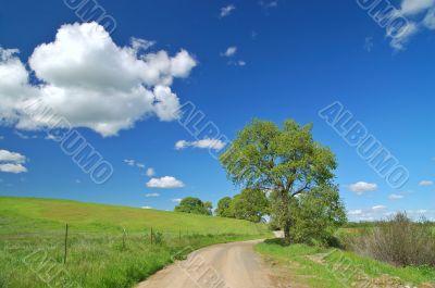 Country Road