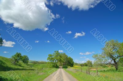 Country Road