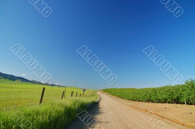 Country Road