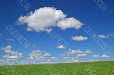 springtime meadow