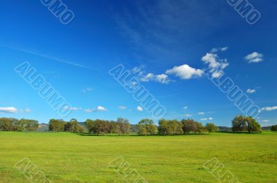 springtime landscape