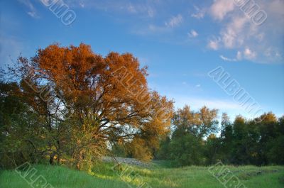 spring countryside