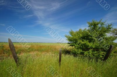 spring countryside
