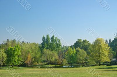 spring countryside
