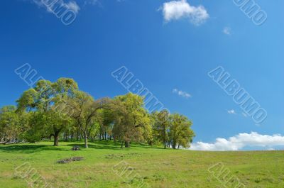 spring countryside