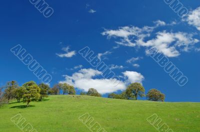 spring countryside