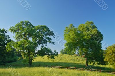 spring countryside