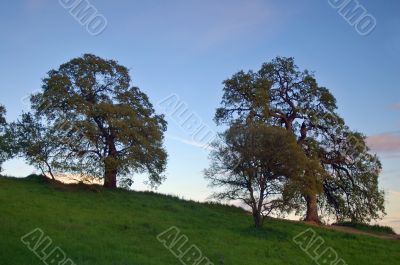 spring countryside