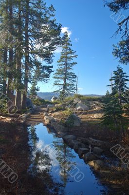 Mountains in springtime
