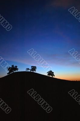 Oak Tree Silhouette