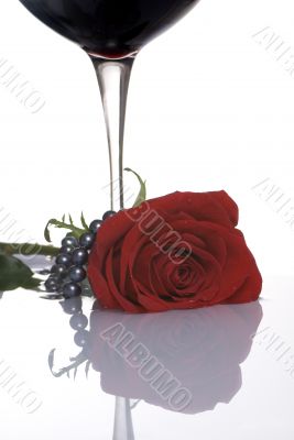 Valentine Rose 5