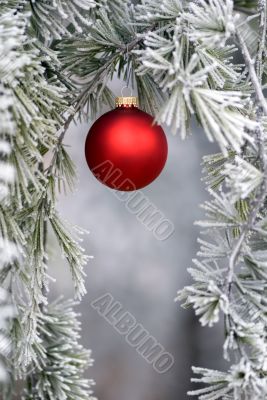 Red Ornament 2