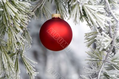 Red Ornament 1