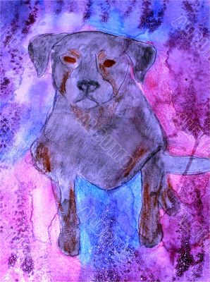 Rottweiler Watercolor