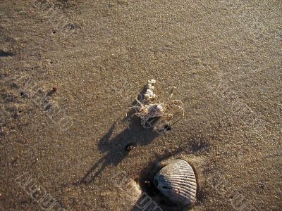 Leave me alone im tryin to dig here