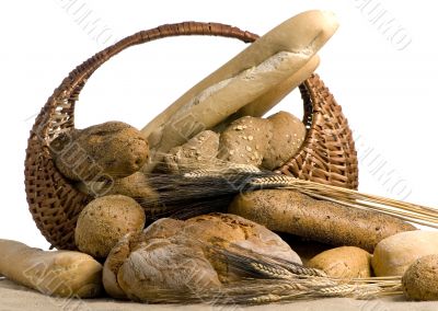 Breads 12-10