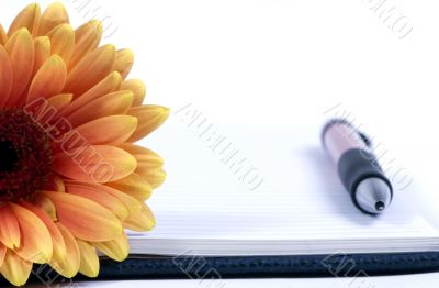 Diary and flower