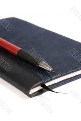 Diary and Pen 2