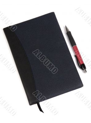 Diary and pen 1