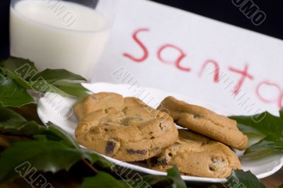 Santa`s Cookies