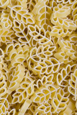 Pasta texture 1