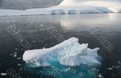 Icebergs and brash ice in calm seas