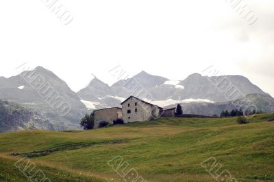 Bernina