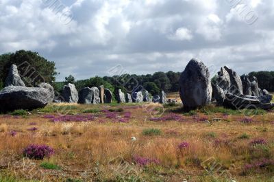 Carnac 4