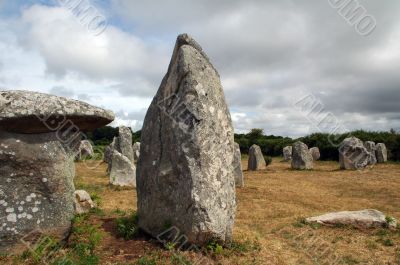 Carnac 7