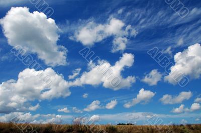 Cielo 3