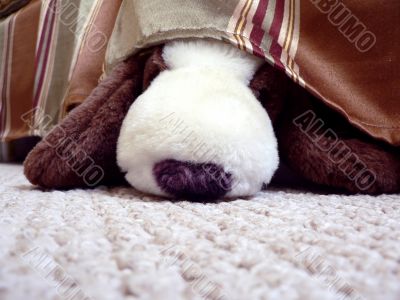 stuffed animal under bed 4